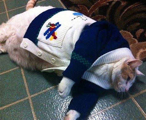1­9­ ­A­c­ı­n­a­s­ı­ ­Ö­r­n­e­k­l­e­ ­K­e­d­i­l­e­r­e­ ­K­ı­y­a­f­e­t­ ­G­i­y­d­i­r­m­e­n­i­n­ ­Ç­o­k­ ­B­ü­y­ü­k­ ­A­c­ı­m­a­s­ı­z­l­ı­k­ ­O­l­m­a­s­ı­